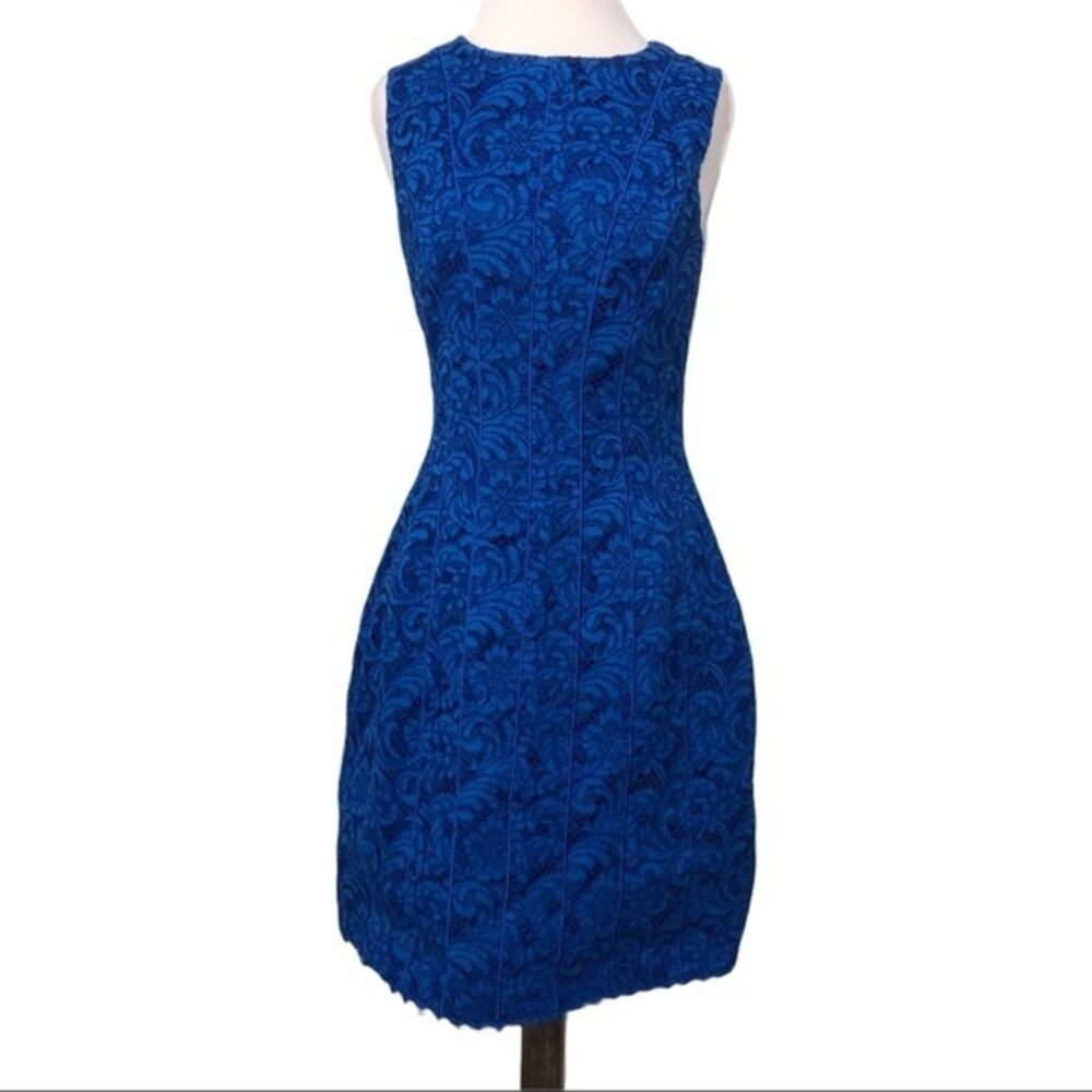 Adam Lippes Corded Lace Flare Dress Cobalt 8 NWT - Picture 3 of 14